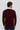 Man wearing a burgundy V-neck sweater and white collared shirt, back view, plain background