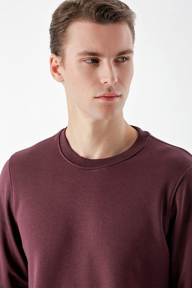 Man wearing a plain burgundy crew neck sweatshirt on a white background